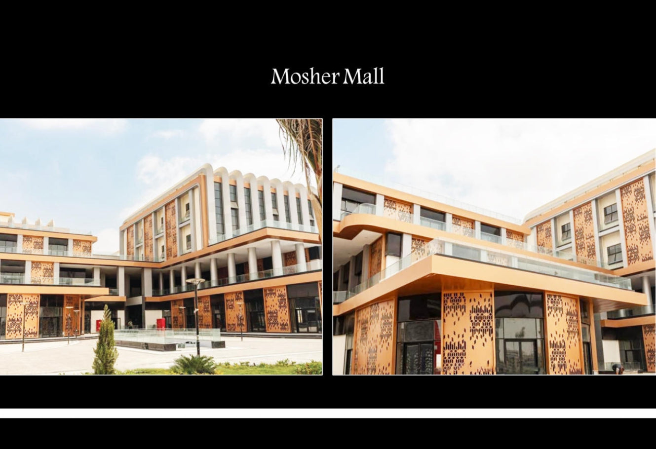 Architectural Facade Systems (Malls )
